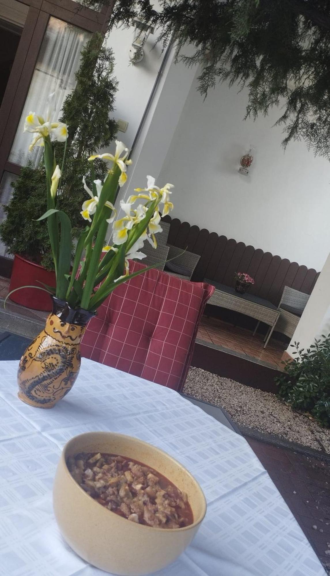 Erzsébet Vendégház és Apartman Hajdúszoboszló Exterior foto